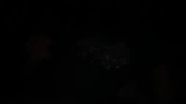 Snapshot of waveonce- chatting on 12-14-25, 07:36 waveonce- online show from 12-14-25, 07:36