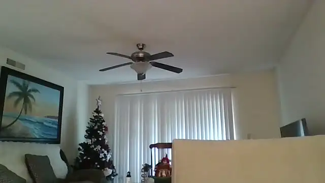 EvaRobinson online show from 12-18-24, 05:31