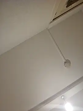 mario890605 online show from 12-21-24, 09:36