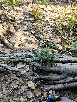 Rinku5553 online show from 02-02-25, 07:20