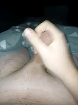 Snapshot of bertvanboere chatting on 01-05-25, 11:22 bertvanboere online show from 01-05-25, 11:22