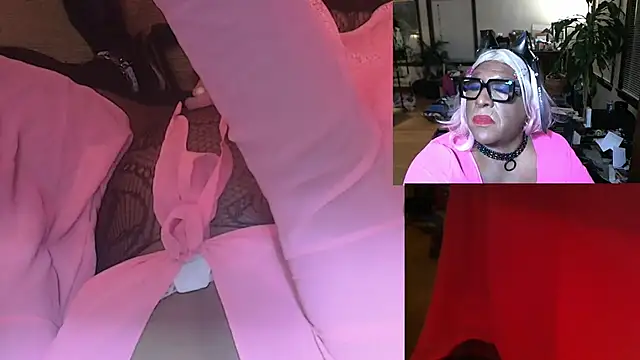 Gray-Platinum-Orchid online show from 01-01-25, 12:00