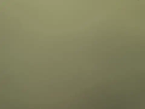 Alexiadreamer online show from 10-28-25, 04:20