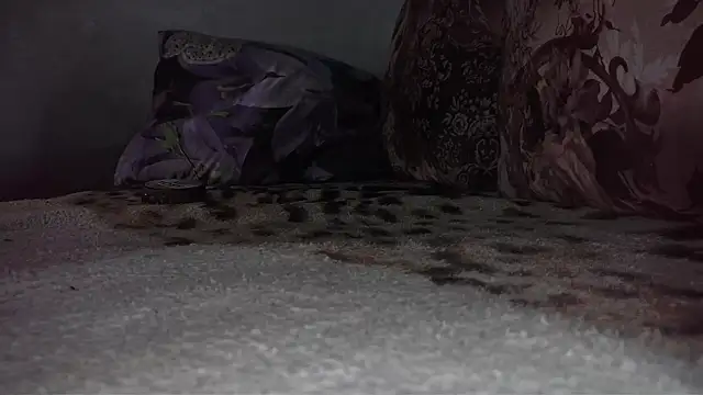 Snapshot of littledaddyflex chatting on 09-17-25, 03:08 littledaddyflex online show from 09-17-25, 03:08