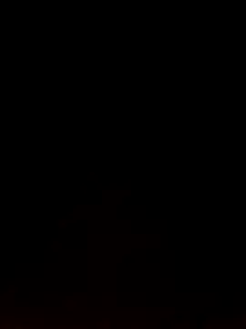 Like african online show from 02-09-26, 04:33