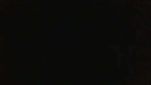 KittyBounty online show from 07-18-26, 08:45