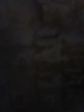 Snapshot of Boost-145 chatting on 01-23-25, 01:30 Boost-145 online show from 01-23-25, 01:30