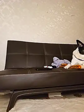 Marushka online show from 12-21-24, 06:12