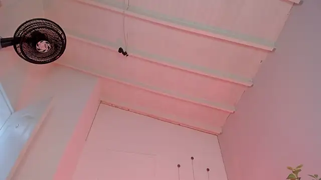 swt-booty online show from 11-19-25, 06:52