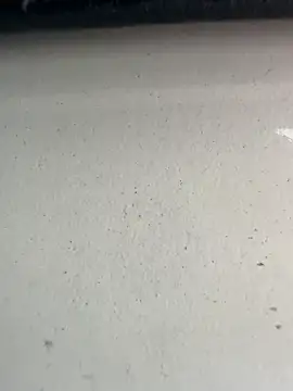 Snapshot of S2kicibey06 chatting on 02-07-25, 07:29 S2kicibey06 online show from 02-07-25, 07:29