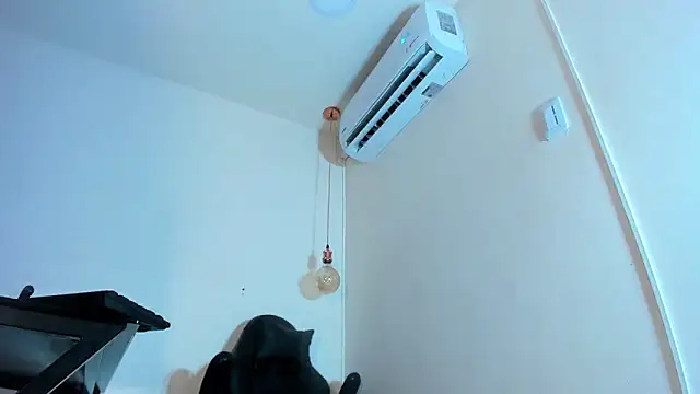 Snapshot of xGenesis_Miller_ chatting on 01-21-25, 11:55 xGenesis Miller  online show from 01-21-25, 11:55