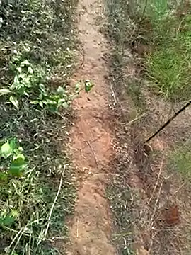 Snapshot of Gopal1243 chatting on 12-14-24, 02:01 Gopal1243 online show from 12-14-24, 02:01