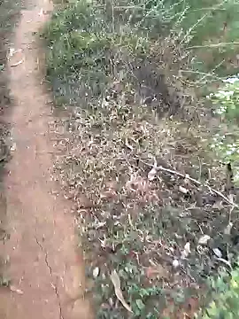 Snapshot of Gopal1243 chatting on 01-15-25, 02:27 Gopal1243 online show from 01-15-25, 02:27