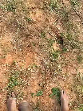 Snapshot of Gopal1243 chatting on 01-27-25, 02:31 Gopal1243 online show from 01-27-25, 02:31