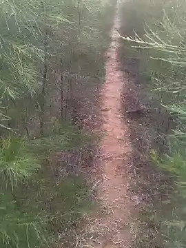 Snapshot of Gopal1243 chatting on 02-17-25, 01:47 Gopal1243 online show from 02-17-25, 01:47