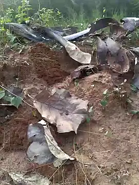 Snapshot of Gopal1243 chatting on 02-20-25, 12:04 Gopal1243 online show from 02-20-25, 12:04