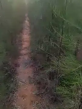 Snapshot of Gopal1243 chatting on 03-01-25, 01:22 Gopal1243 online show from 03-01-25, 01:22