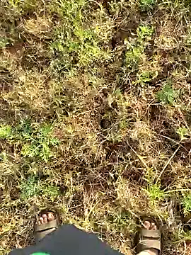 Snapshot of Gopal1243 chatting on 03-23-25, 02:15 Gopal1243 online show from 03-23-25, 02:15