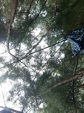 Snapshot of Gopal1243 chatting on 09-28-25, 06:19 Gopal1243 online show from 09-28-25, 06:19