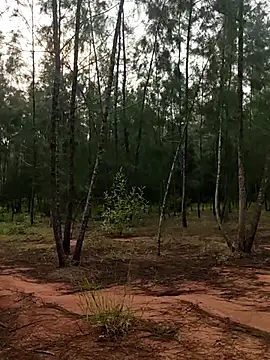 Snapshot of Gopal1243 chatting on 10-09-25, 01:58 Gopal1243 online show from 10-09-25, 01:58