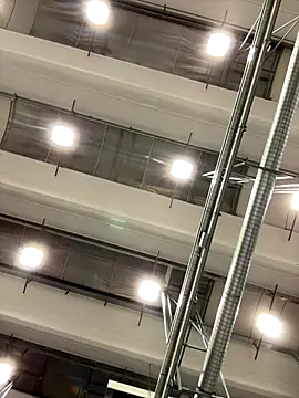 danicohoney online show from 10-06-25, 11:13