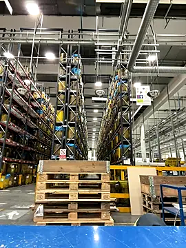 danicohoney online show from 10-10-25, 09:36