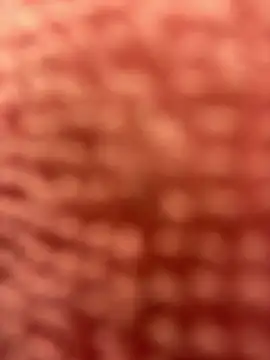 Snapshot of BigFineSelena chatting on 01-11-25, 03:09 BigFineSelena online show from 01-11-25, 03:09