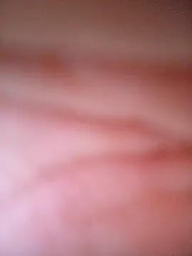 Snapshot of CASADASIGILO2 chatting on 11-13-25, 11:03 CASADASIGILO2 online show from 11-13-25, 11:03