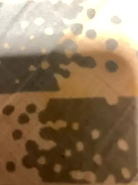 fep84 online show from 03-22-26, 04:49