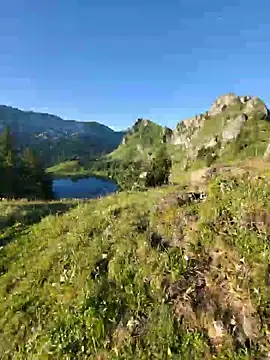 GeilerSchweizer online show from 07-05-26, 04:41