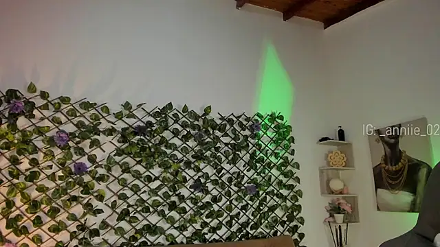 annie barozzi online show from 01-13-25, 01:28