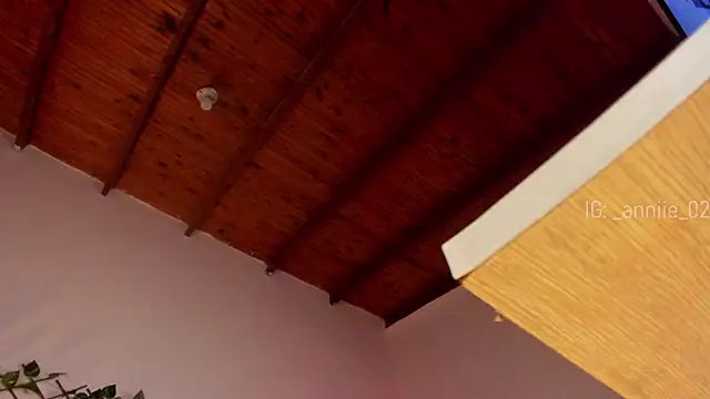 annie barozzi online show from 01-16-25, 04:39