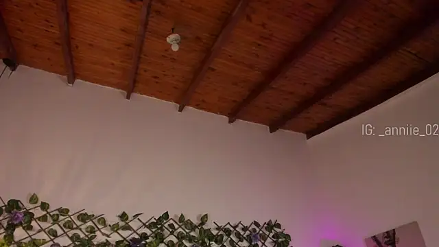 annie barozzi online show from 01-23-25, 01:35