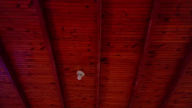 annie barozzi online show from 10-18-25, 01:23