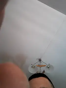 Pitbul889 online show from 11-01-25, 06:43