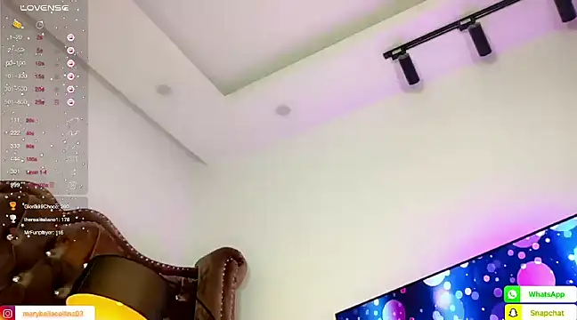 Snapshot of sassymarylou chatting on 12-26-24, 09:33 sassymarylou online show from 12-26-24, 09:33