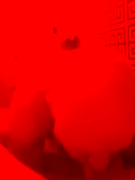 lawndad79 online show from 04-14-26, 09:21