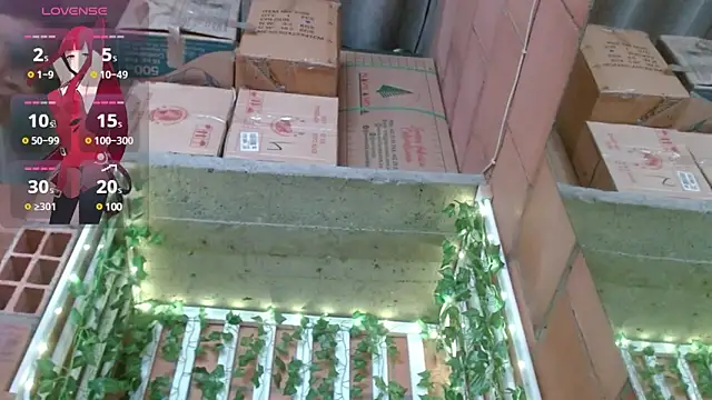 belindathompson online show from 02-25-25, 09:24