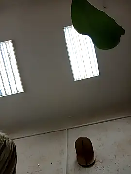 Office Albertina online show from 01-18-26, 10:13