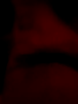 Snapshot of roccosif696 chatting on 01-25-25, 06:46 roccosif696 online show from 01-25-25, 06:46