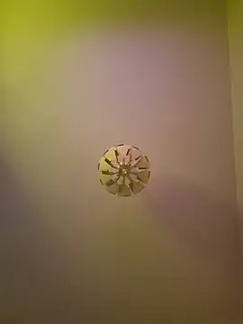 Snapshot of cuci45 chatting on 10-11-25, 06:28 cuci45 online show from 10-11-25, 06:28