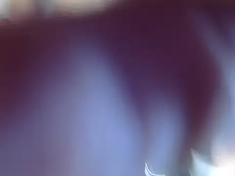 OSIRlS online show from 12-12-24, 09:37