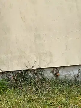 TalullaX online show from 03-19-25, 02:46