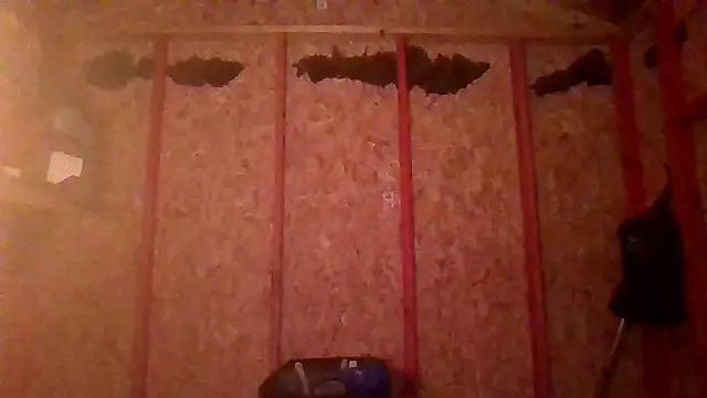 prettyboytatted69 online show from 04-09-26, 07:03