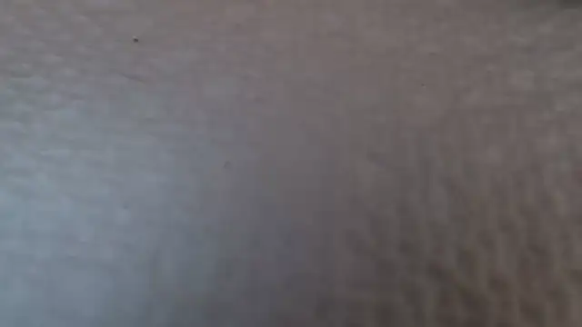 TsSandyx online show from 04-30-26, 10:21