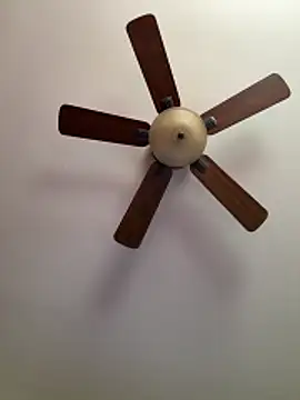 QueenNuttCollector online show from 03-27-26, 04:40