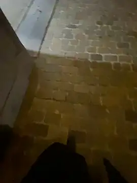 Thepanthera online show from 09-22-25, 04:47