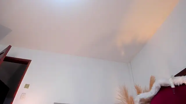 Nina Cavaali online show from 01-30-25, 11:45