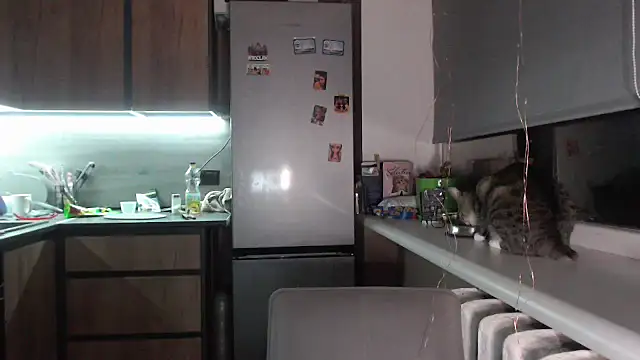 delightful sofi online show from 09-28-25, 07:19