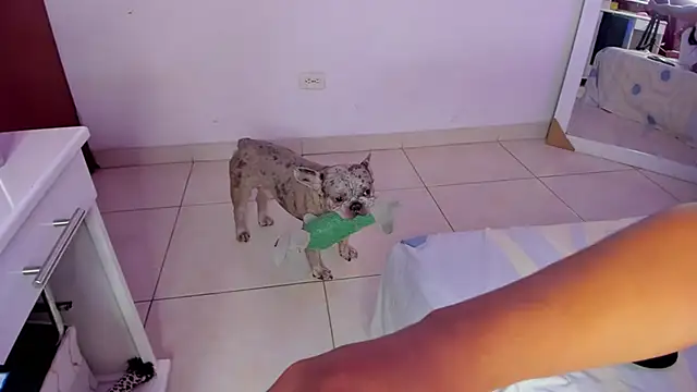 SophiieWilson  online show from 10-27-25, 03:43